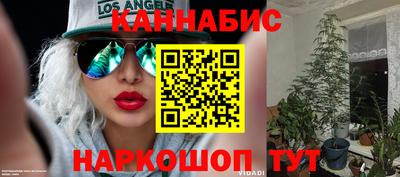 a pvp Заводоуковск